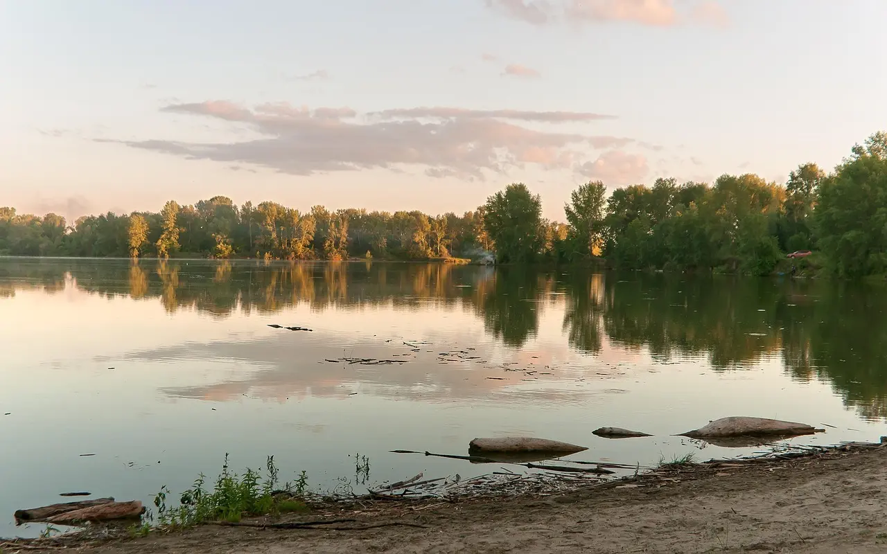 Løsningsord til Instrument i krydsord