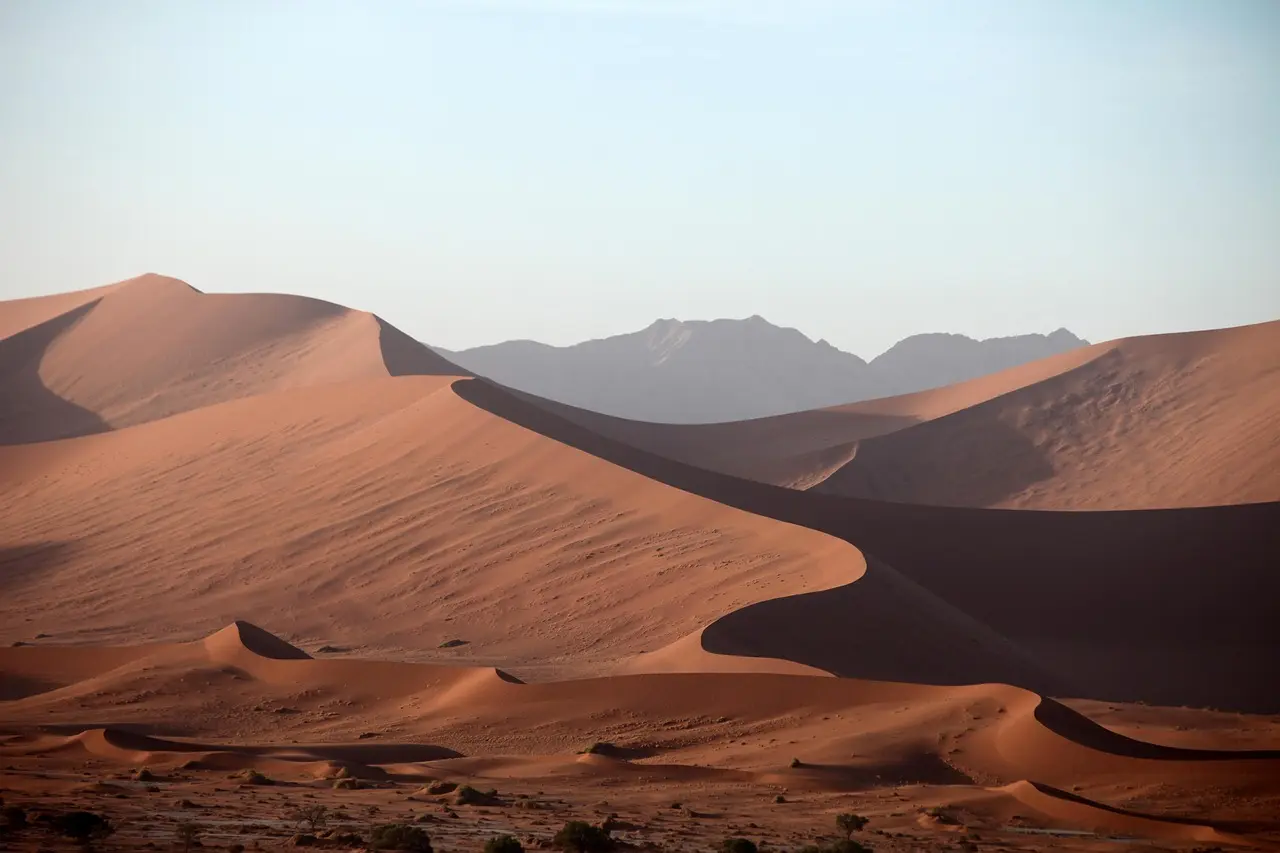 Hvordan er vejret i Riyadh i uge 31?