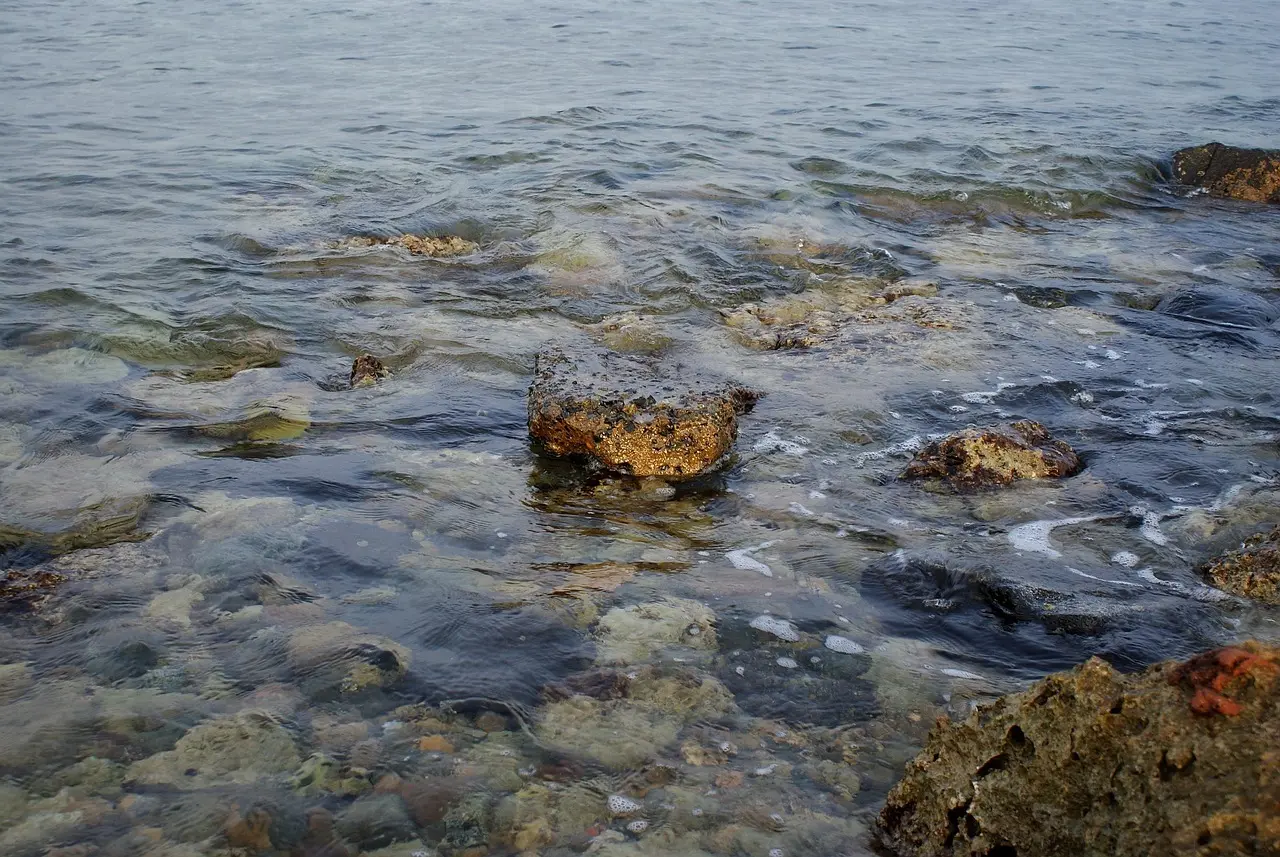 Hvordan er vejret i Jeddah i august måned?