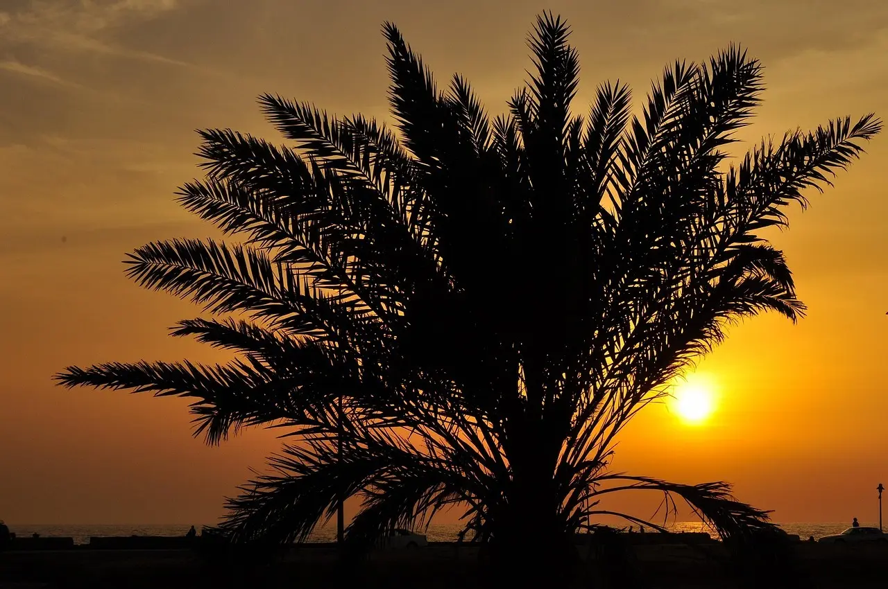 Hvordan er vejret i Jeddah i juli?